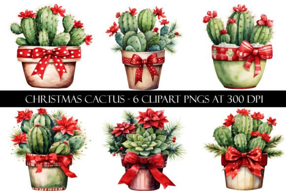 Christmas Cactus Clipart for Seasonal Illustrations