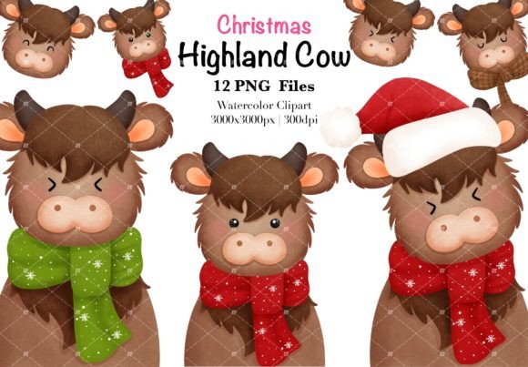 Christmas Highland Cow Clipart for Holiday Illustrations